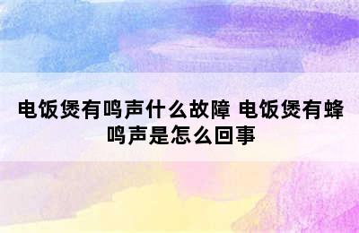 电饭煲有鸣声什么故障 电饭煲有蜂鸣声是怎么回事